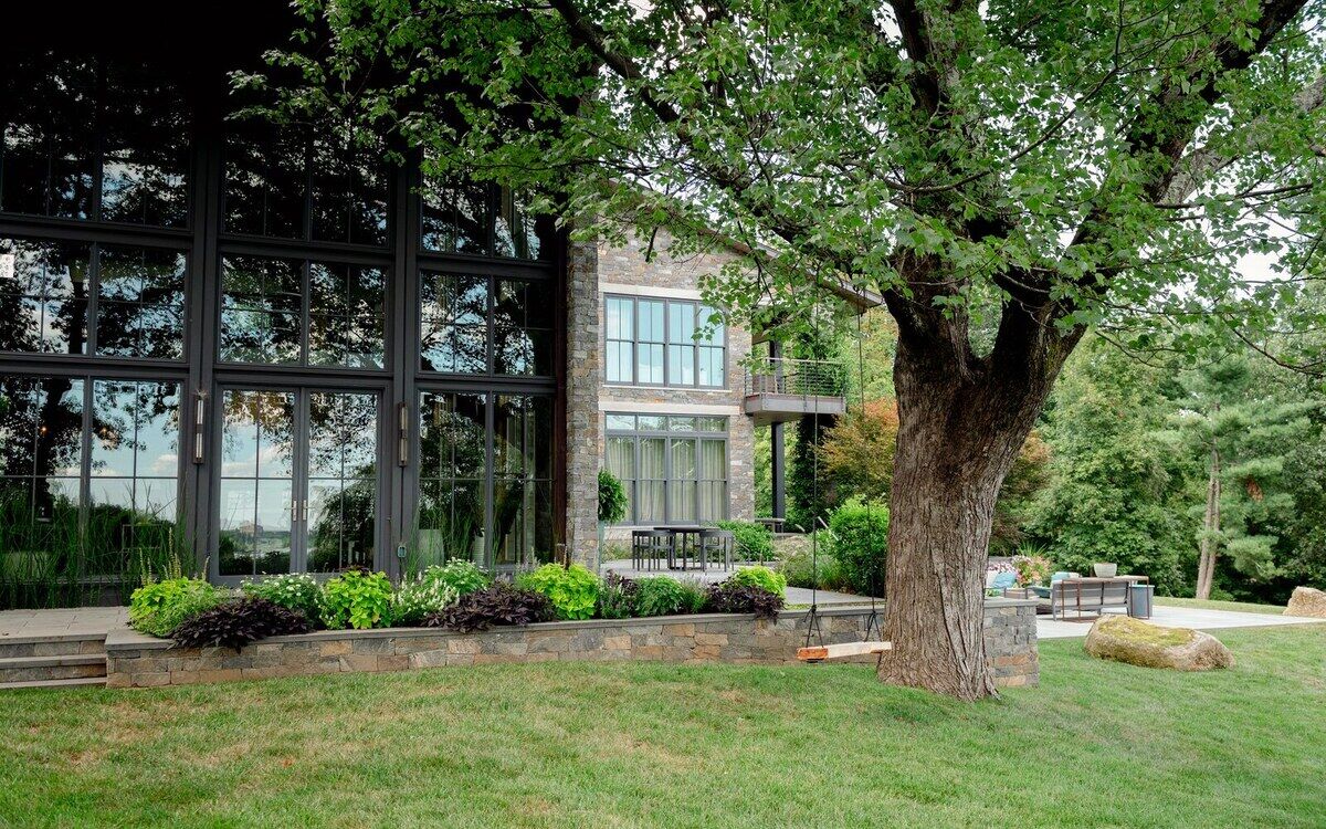 Established lawn under a mature shade tree