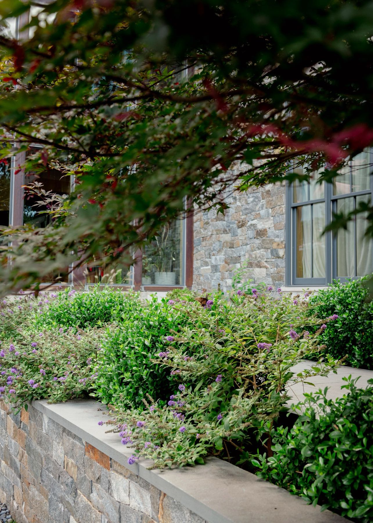 Detail lawn edge