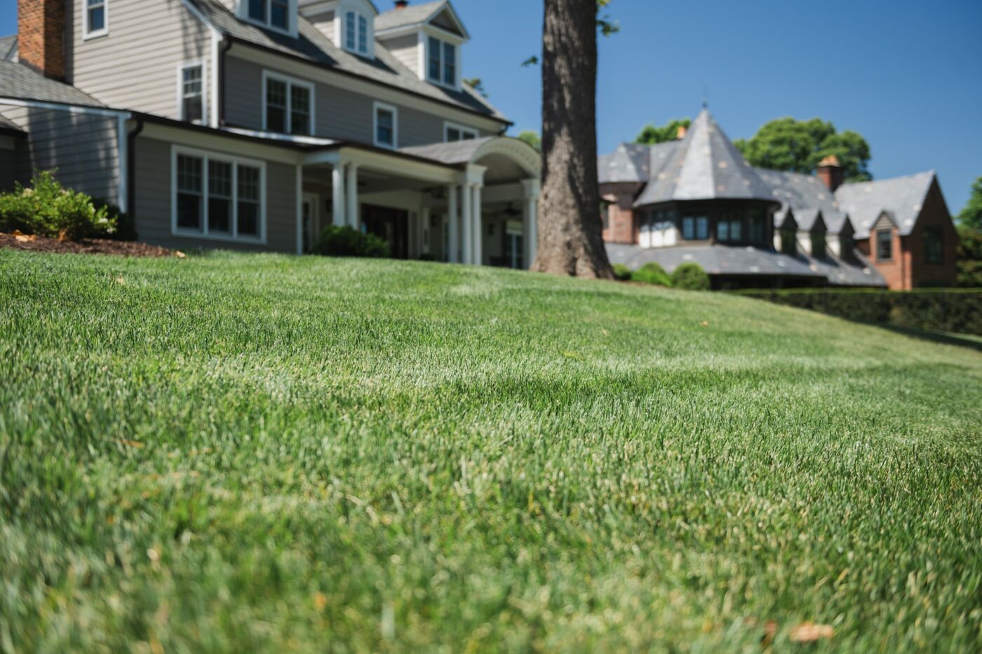 Crisp striped lawn, freshly maintained
