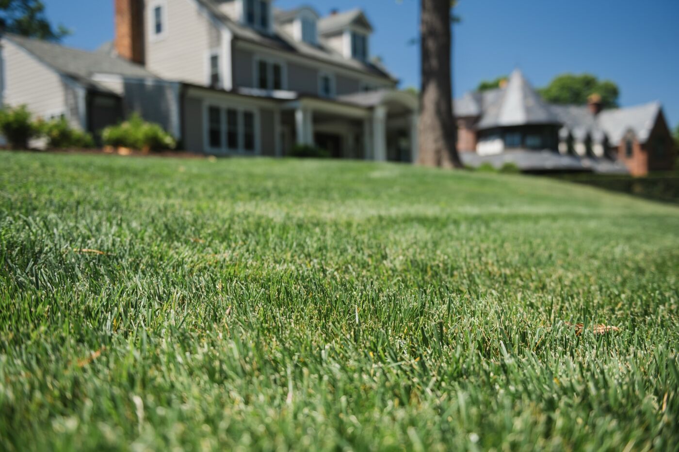 Curb-appeal home and lawn