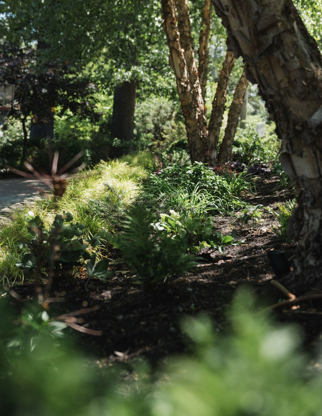 Garden bed planting