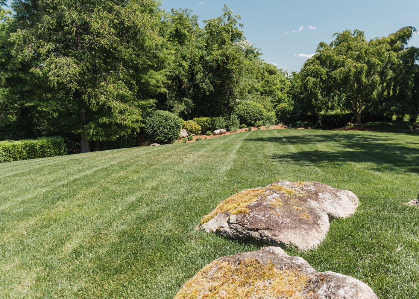 Landscape with boulder feature