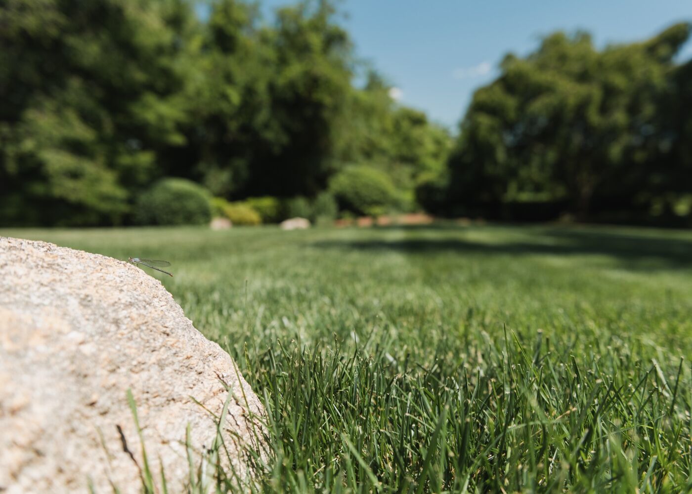 Stone walkway through a manicured lawn