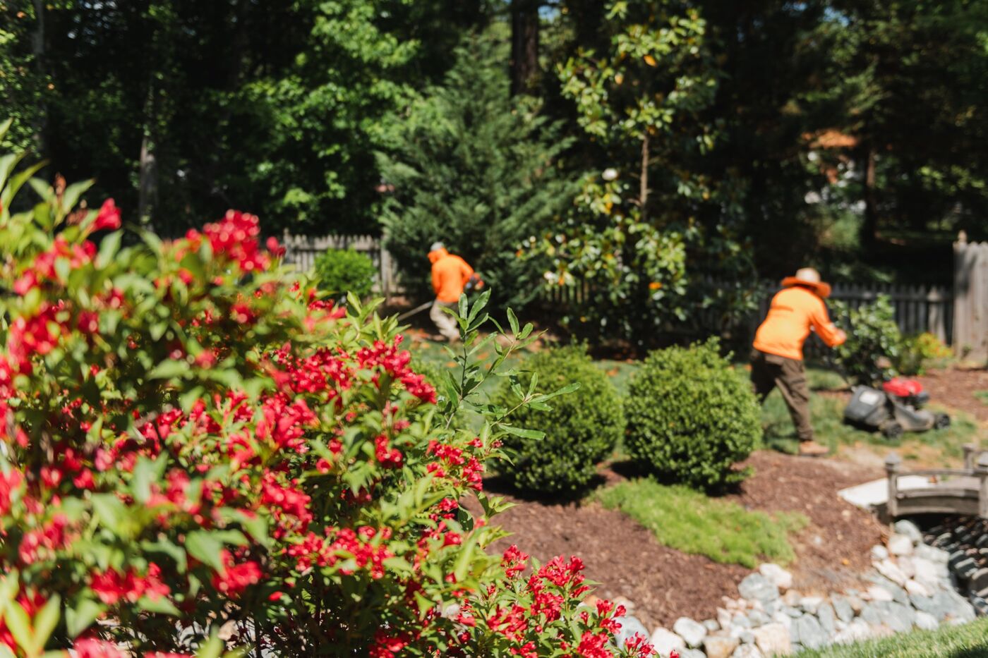 A garden bed in full bloom