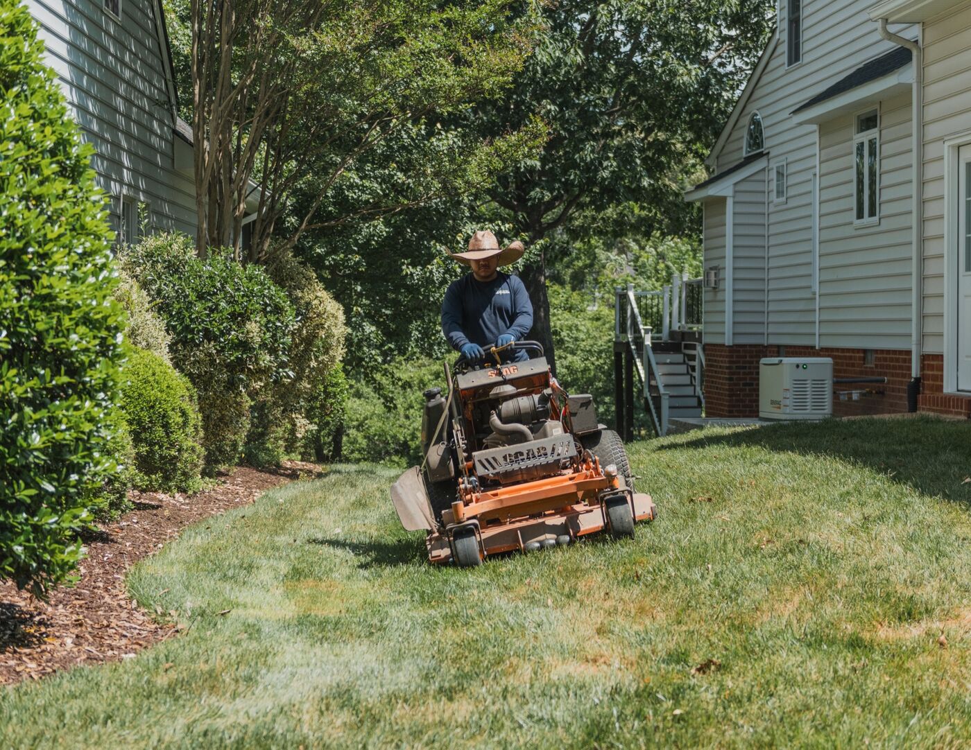Shaped shrubs and designed landscape